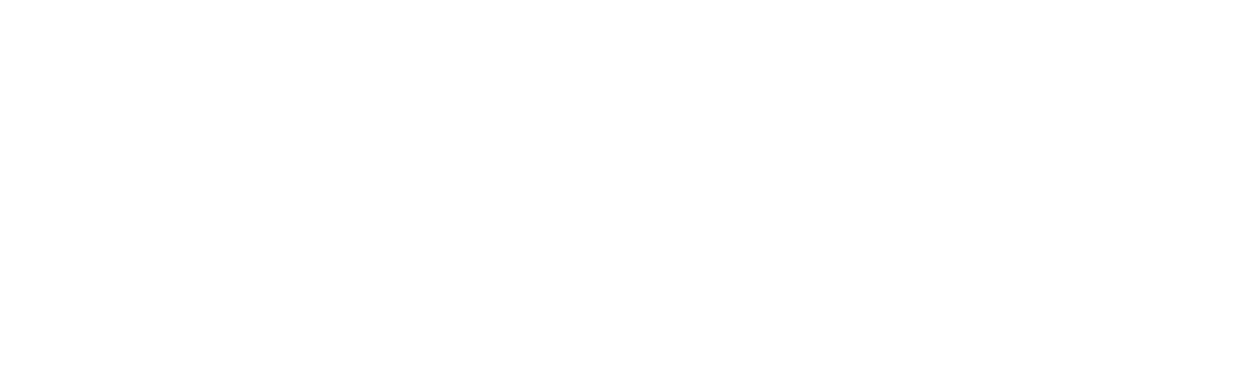 Logo SECODI FI PNG RVB WHITE